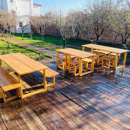 Biolocalia House Dobrogea Διαμέρισμα Balotesti Εξωτερικό φωτογραφία
