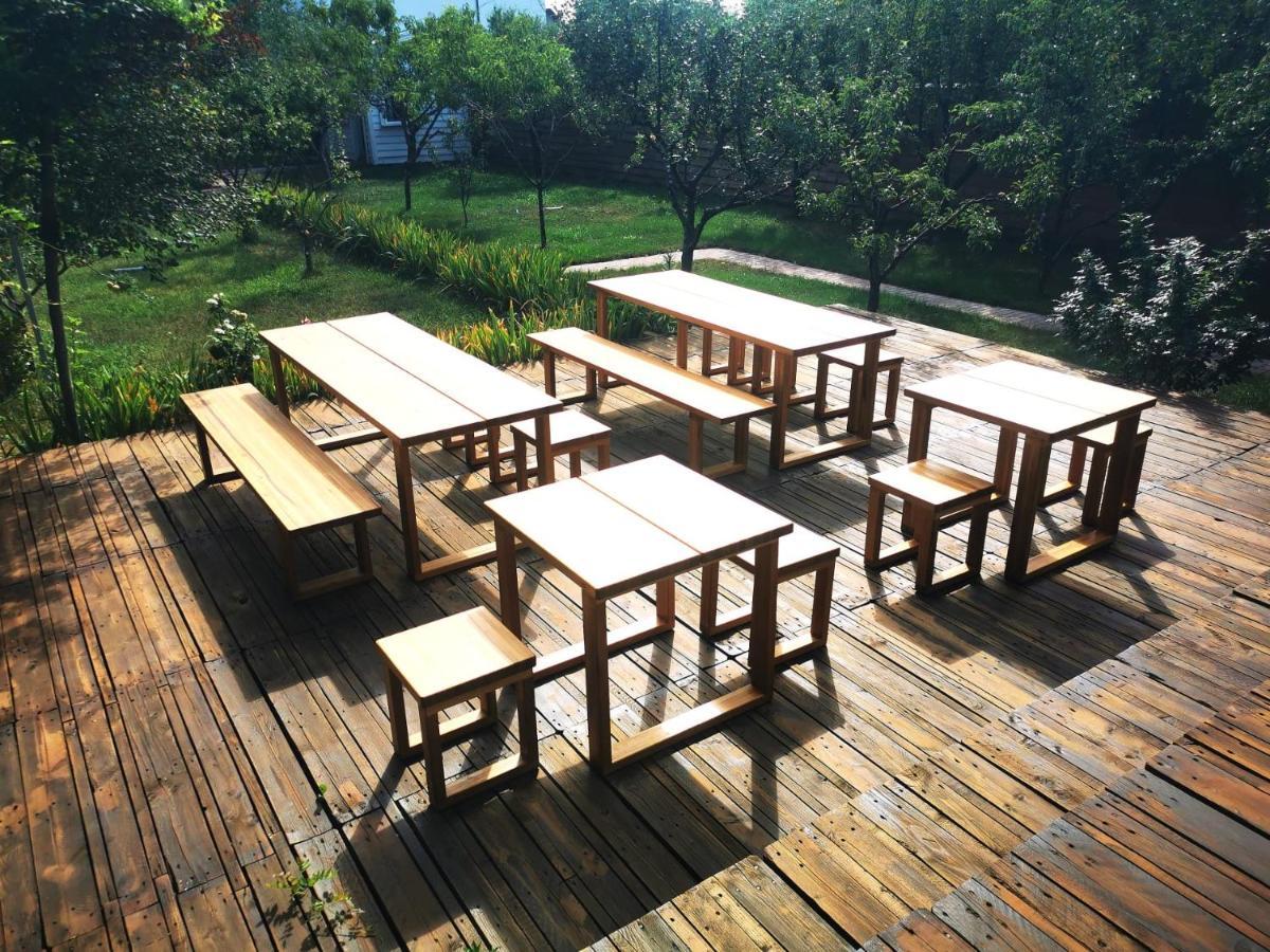 Biolocalia House Dobrogea Διαμέρισμα Balotesti Εξωτερικό φωτογραφία