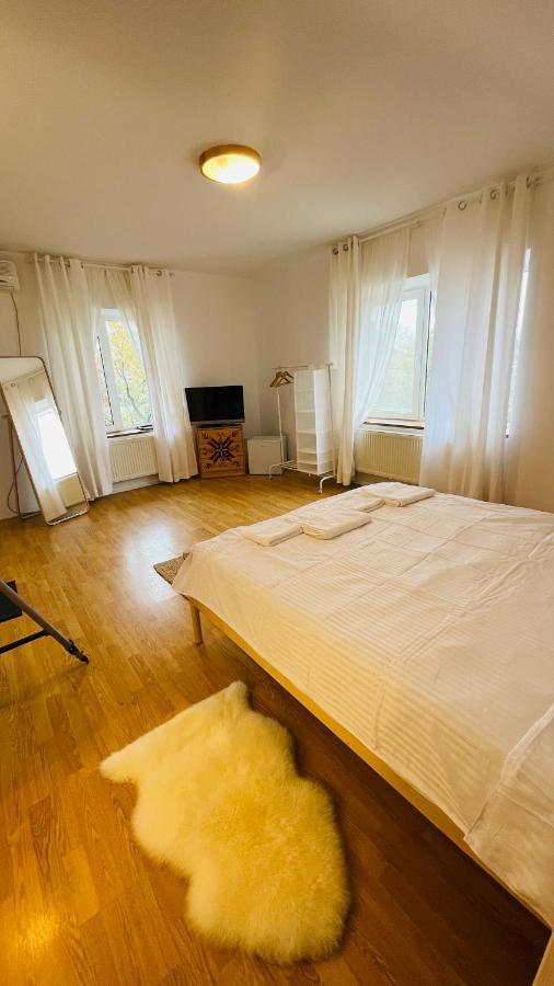 Biolocalia House Dobrogea Διαμέρισμα Balotesti Εξωτερικό φωτογραφία
