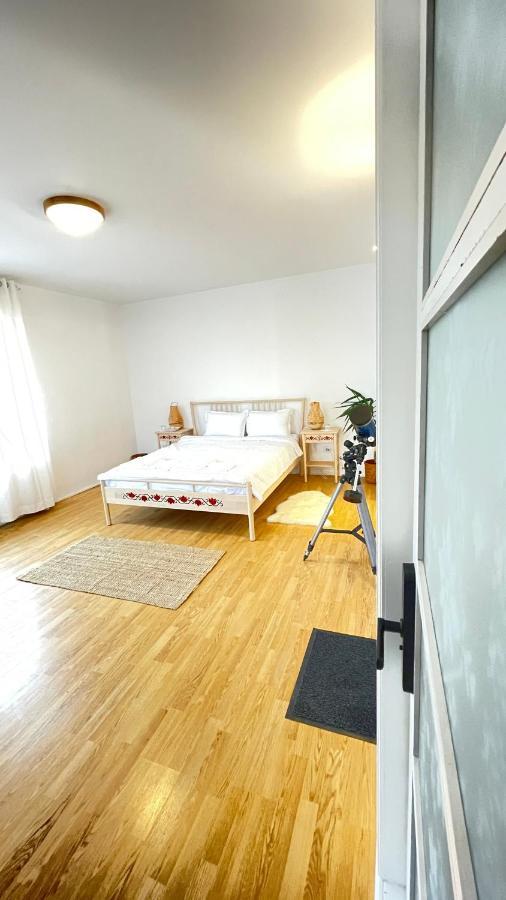 Biolocalia House Dobrogea Διαμέρισμα Balotesti Εξωτερικό φωτογραφία